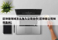 区块链领域怎么加入公司合作[区块链公司如何盈利]